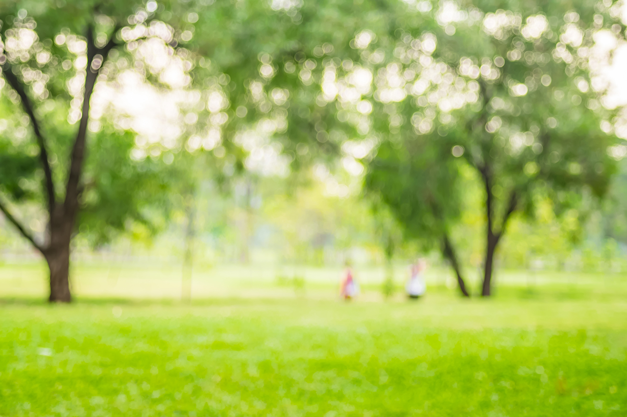 parque para hacer ejercicios